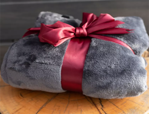 Купити онлайн товари по цінам зі знижкою: Плед ковдра з підігрівом, трансформер