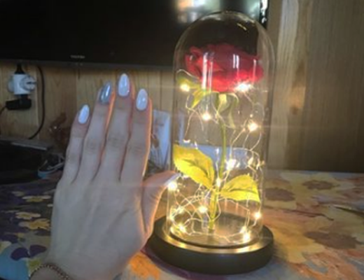 Зробити замовлення: Троянда в колбі з підсвічуванням