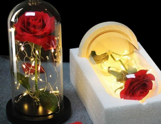 Магазин Склад Купити Онлайн: Троянда в колбі з підсвічуванням