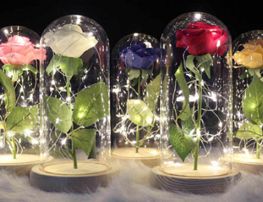 Купити онлайн НОУ-ХАУ: Троянда в колбі з підсвічуванням