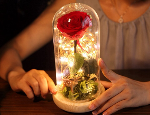 Купити онлайн товари по цінам зі знижкою: Троянда в колбі з підсвічуванням